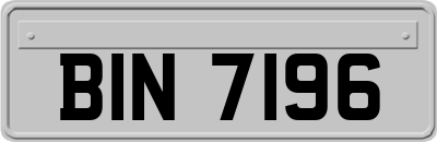 BIN7196