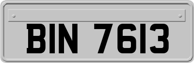 BIN7613