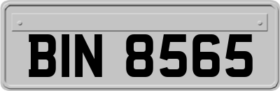 BIN8565