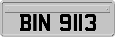 BIN9113