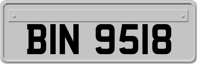 BIN9518