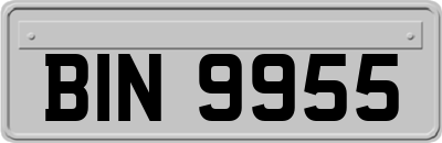 BIN9955