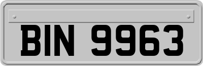 BIN9963