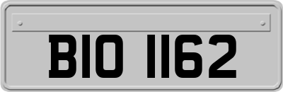 BIO1162