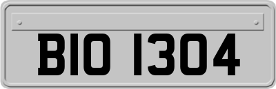 BIO1304