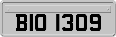 BIO1309