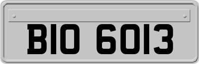 BIO6013