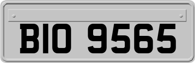 BIO9565