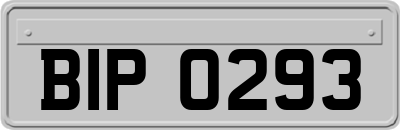 BIP0293