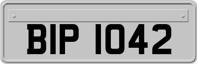 BIP1042