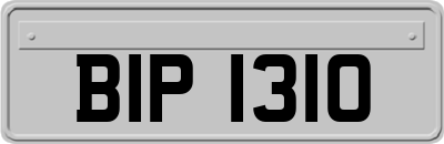 BIP1310