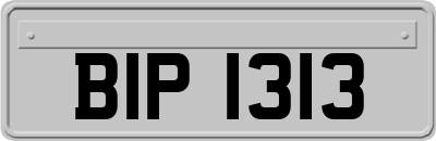 BIP1313