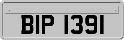 BIP1391