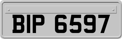 BIP6597