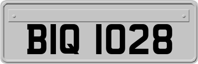 BIQ1028