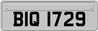 BIQ1729