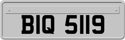 BIQ5119