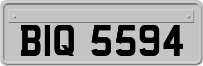 BIQ5594