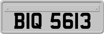 BIQ5613