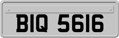 BIQ5616