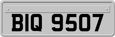 BIQ9507