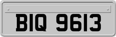 BIQ9613