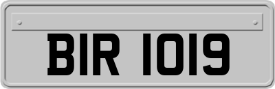 BIR1019