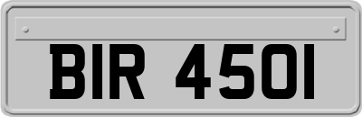 BIR4501