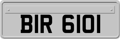 BIR6101