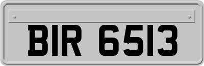 BIR6513