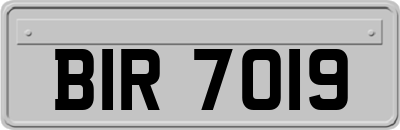 BIR7019