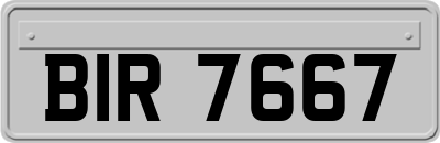 BIR7667