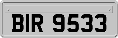 BIR9533