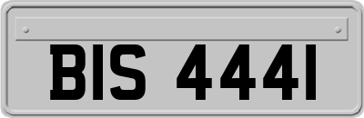 BIS4441