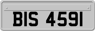 BIS4591