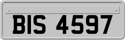 BIS4597