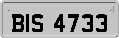 BIS4733