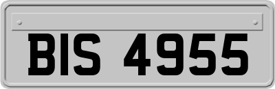 BIS4955