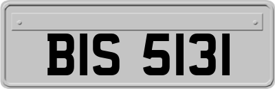 BIS5131
