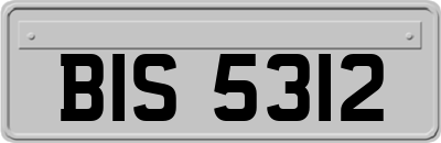 BIS5312