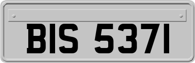 BIS5371