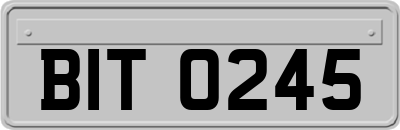 BIT0245