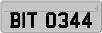 BIT0344