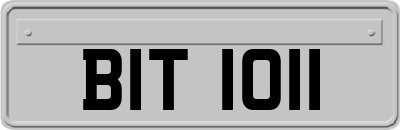 BIT1011
