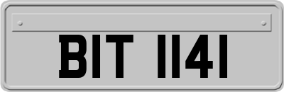 BIT1141