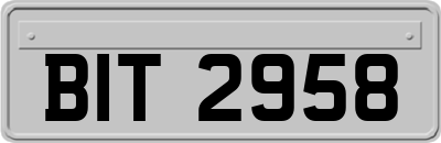 BIT2958