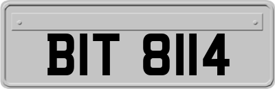 BIT8114