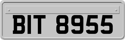 BIT8955