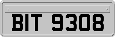BIT9308