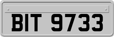 BIT9733